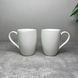 Набор из 2 чашек Villeroy & Boch Anmut Platinum №1 350 мл
