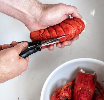 Набір із 6 предметів для морепродуктів De Buyer Utensils фото