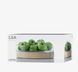 Фруктовниця LSA International Lotta 31 см