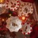 Блюдо Hutschenreuther Christmas Love 36,1х18,1 см