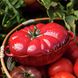 Форма для запікання Staub Tomato 470 мл червона