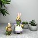 Статуетка Villeroy & Boch Bunny Tales Paul 8 см