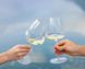 Набор из 2 бокалов для белого вина Riedel WineWings 742 мл